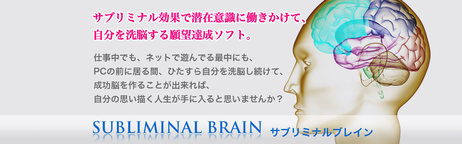 理由解明 注目されてる サブリミナルブレイン の効果で自分を洗脳する願望達成ソフトの欠点とは メンタルや精神強化 心を強くする方法 に特化 読むだけでも効果あり